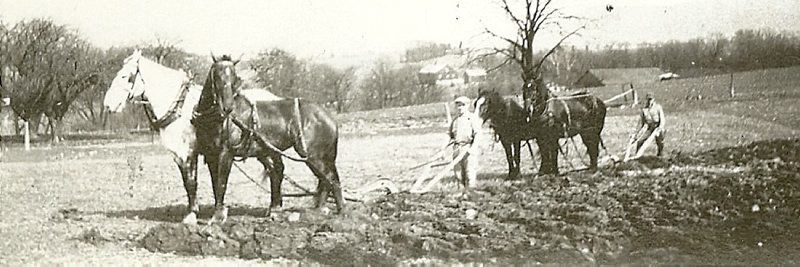 noll-spangler9.jpg